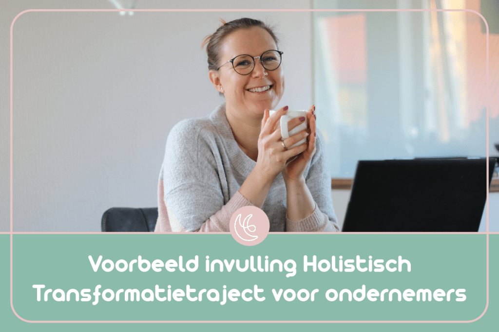 Voorbeeld invulling Holistisch Transformatietraject
